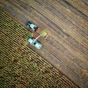 Loi sur le foncier agricole