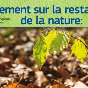 Règlement européen sur la restauration de la nature