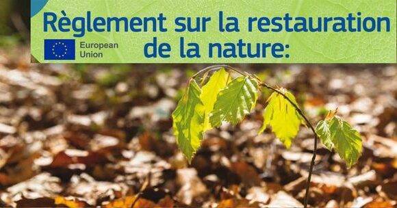 Règlement européen sur la restauration de la nature