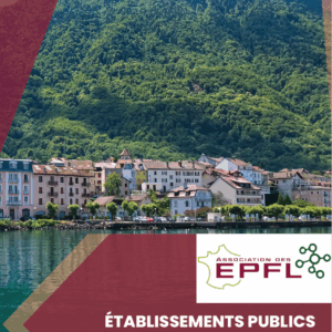Rapport d’activité 2024