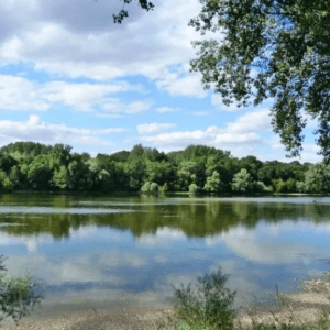 L’EPFLI Foncier Coeur de France et ses partenaires engagés pour la préservation et la gestion écologique des bords de Loire