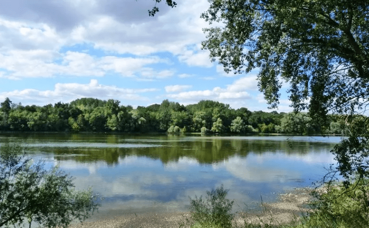 L’EPFLI Foncier Coeur de France et ses partenaires engagés pour la préservation et la gestion écologique des bords de Loire L’EPFLI Foncier Coeur de France et ses partenaires engagés pour la préservation et la gestion écologique des bords de Loire